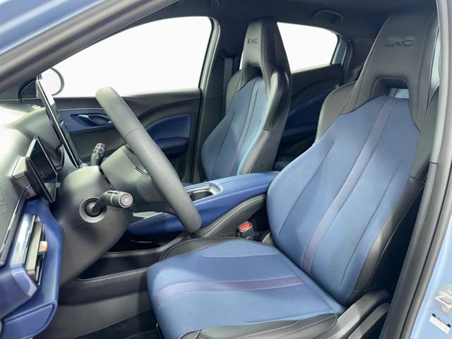 BYD Dolphin Mini
