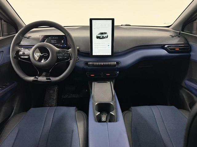 BYD Dolphin Mini