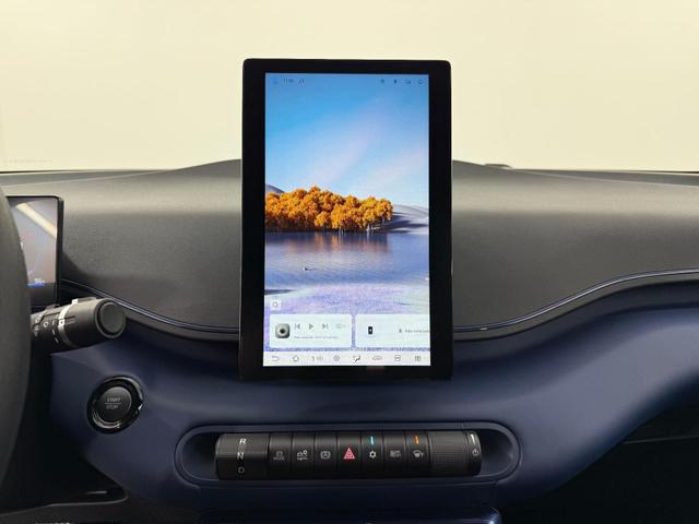 BYD Dolphin Mini