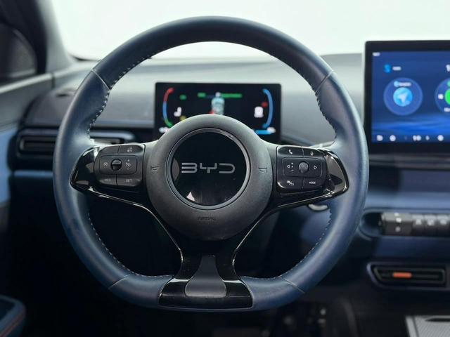 BYD Dolphin Mini