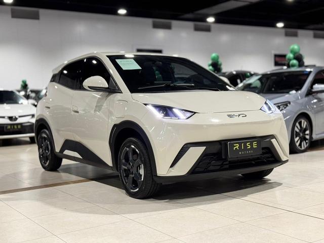 BYD Dolphin Mini