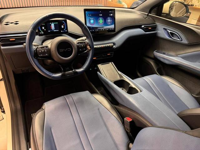 BYD Dolphin Mini