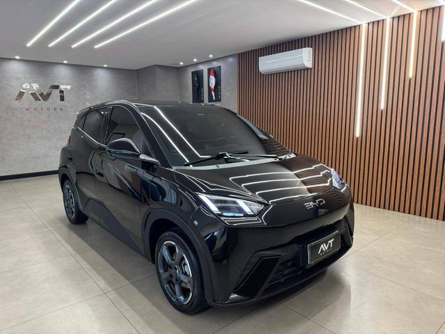 BYD Dolphin Mini