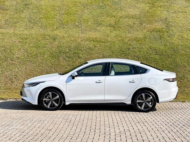BYD King