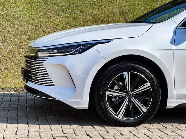 BYD King