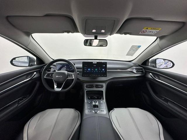 BYD King