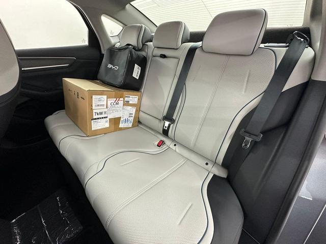 BYD King