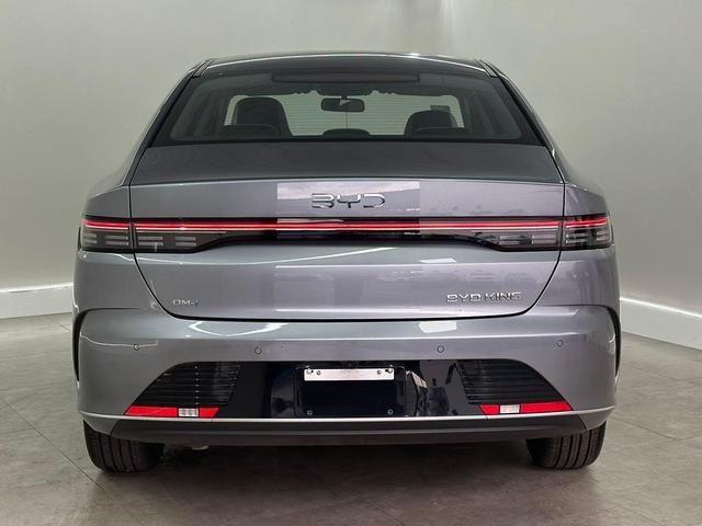 BYD King
