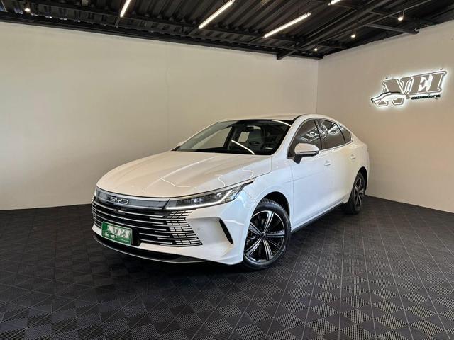 BYD King