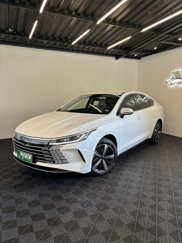 BYD King