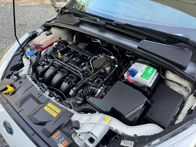 Ford Focus Hatch