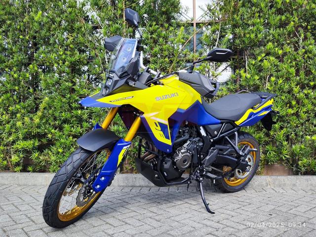 Suzuki Motos Dl